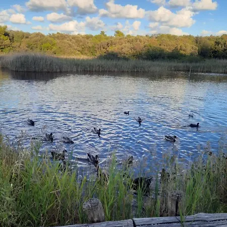Casa Di Toraf Ancona